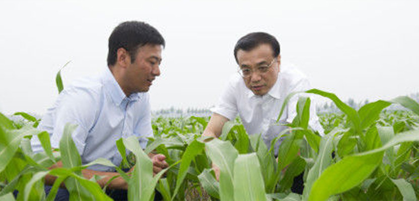 一號(hào)文件解讀：中國要強(qiáng) 農(nóng)業(yè)必須強(qiáng)